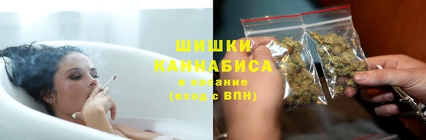 мдпв Кизел