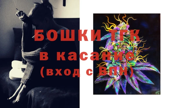 стафф Усмань