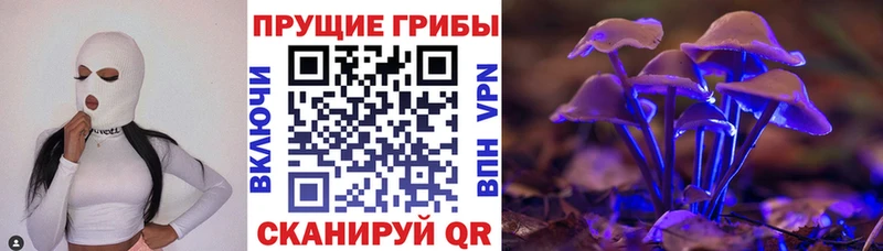 Псилоцибиновые грибы мицелий  закладка  Павловск 
